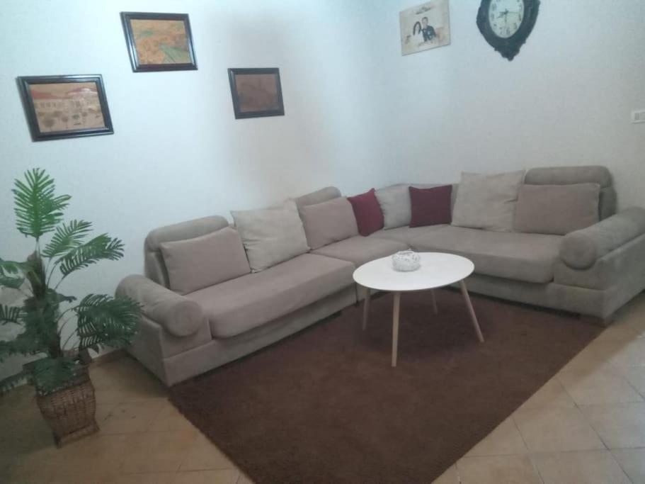The Little Oasis Shkoder
